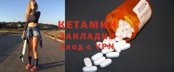 индика Каменка