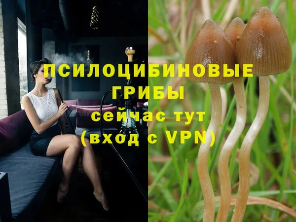 кокс Абдулино