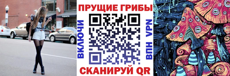 Псилоцибиновые грибы мухоморы  hydra   Чегем  цена наркотик 